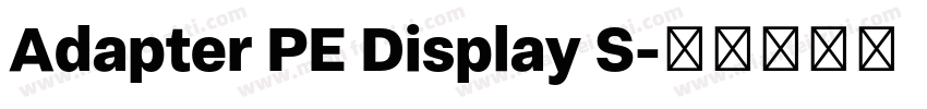 Adapter PE Display S字体转换